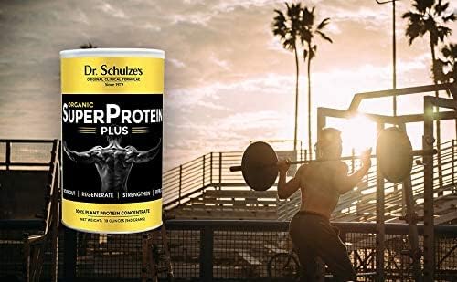 SuperProtein powder 19 oz